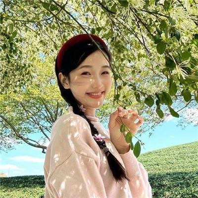大唐歌飞 在线观看